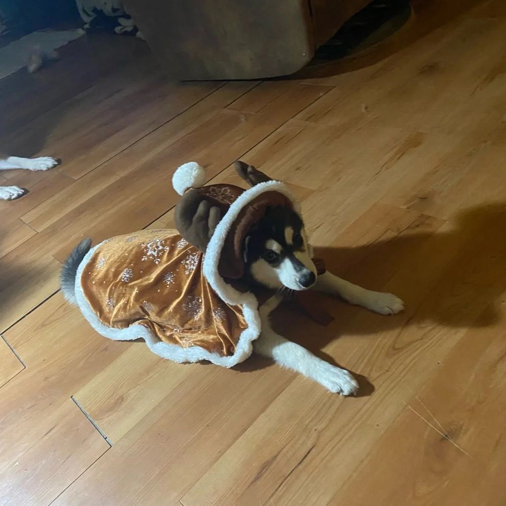 Reindeer capes for dogs and cats
